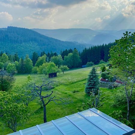 Ferienhaus Mit 5* Luxus Im Schwarzwald Gemeinde Gemeinde Aichhalden Eksteriør billede
