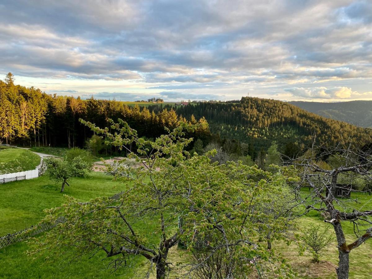 Ferienhaus Mit 5* Luxus Im Schwarzwald Gemeinde Gemeinde Aichhalden Eksteriør billede