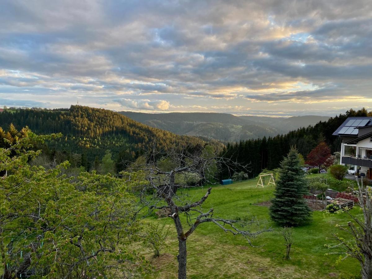Ferienhaus Mit 5* Luxus Im Schwarzwald Gemeinde Gemeinde Aichhalden Eksteriør billede